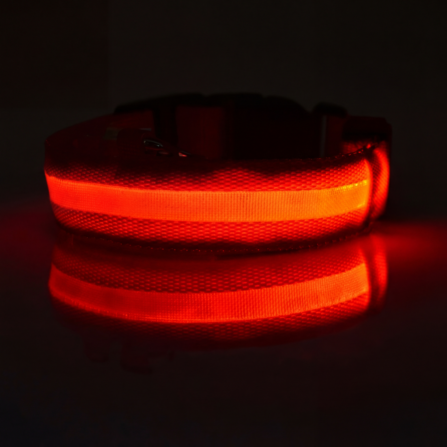 LED Dog Collar Rechargeable