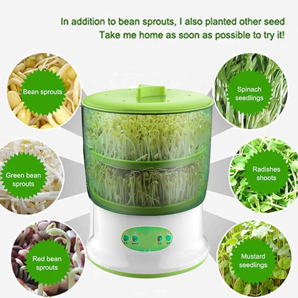 DIY Bean Automatic Sprouter Machine