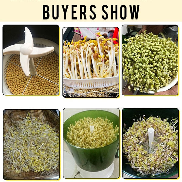 DIY Bean Automatic Sprouter Machine