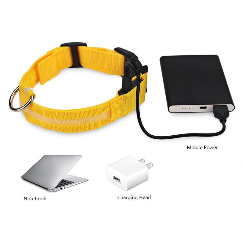 LED Dog Collar Rechargeable - Perfenq