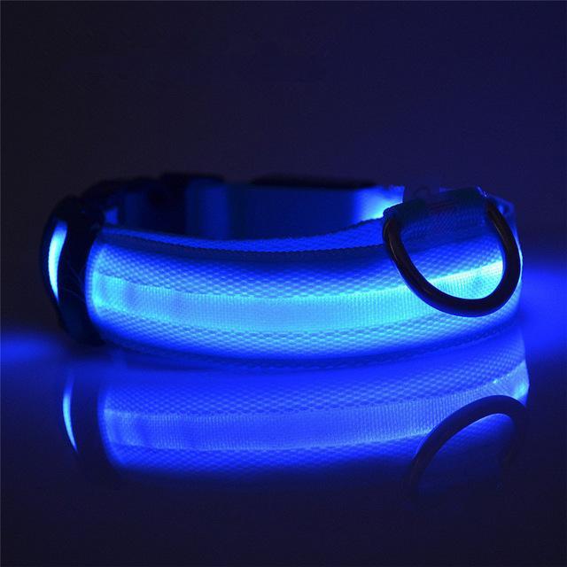 LED Dog Collar Rechargeable - Perfenq
