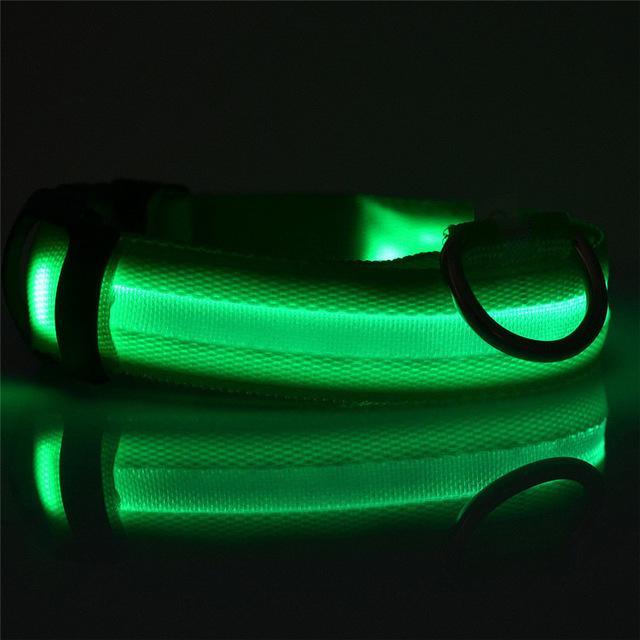 LED Dog Collar Rechargeable - Perfenq