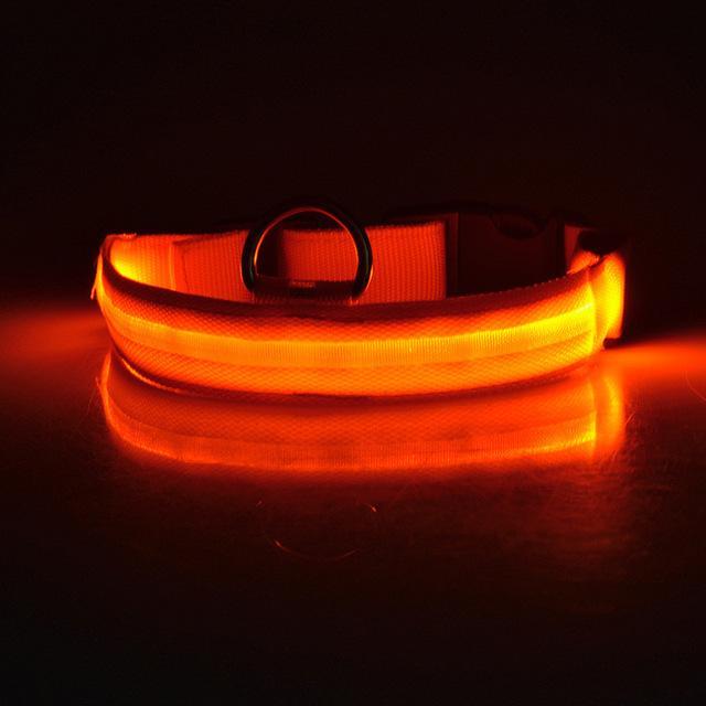 LED Dog Collar Rechargeable - Perfenq