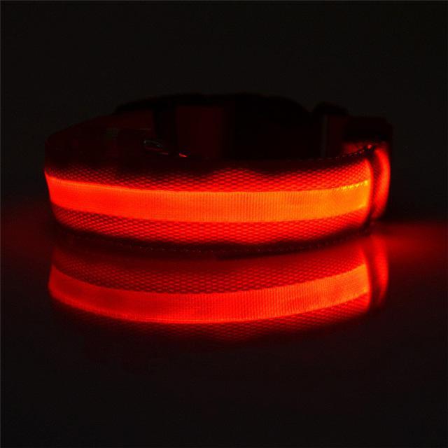 LED Dog Collar Rechargeable - Perfenq