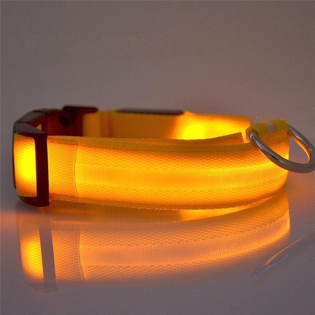 LED Dog Collar Rechargeable - Perfenq