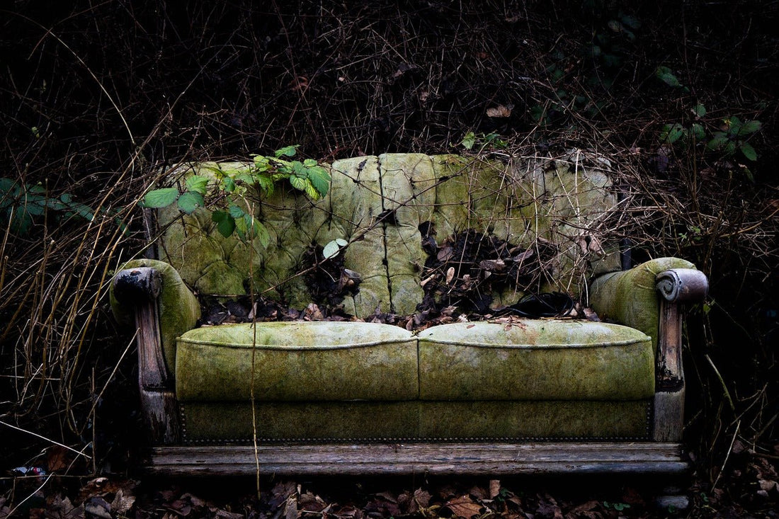 How To Make an Old Sofa Look New