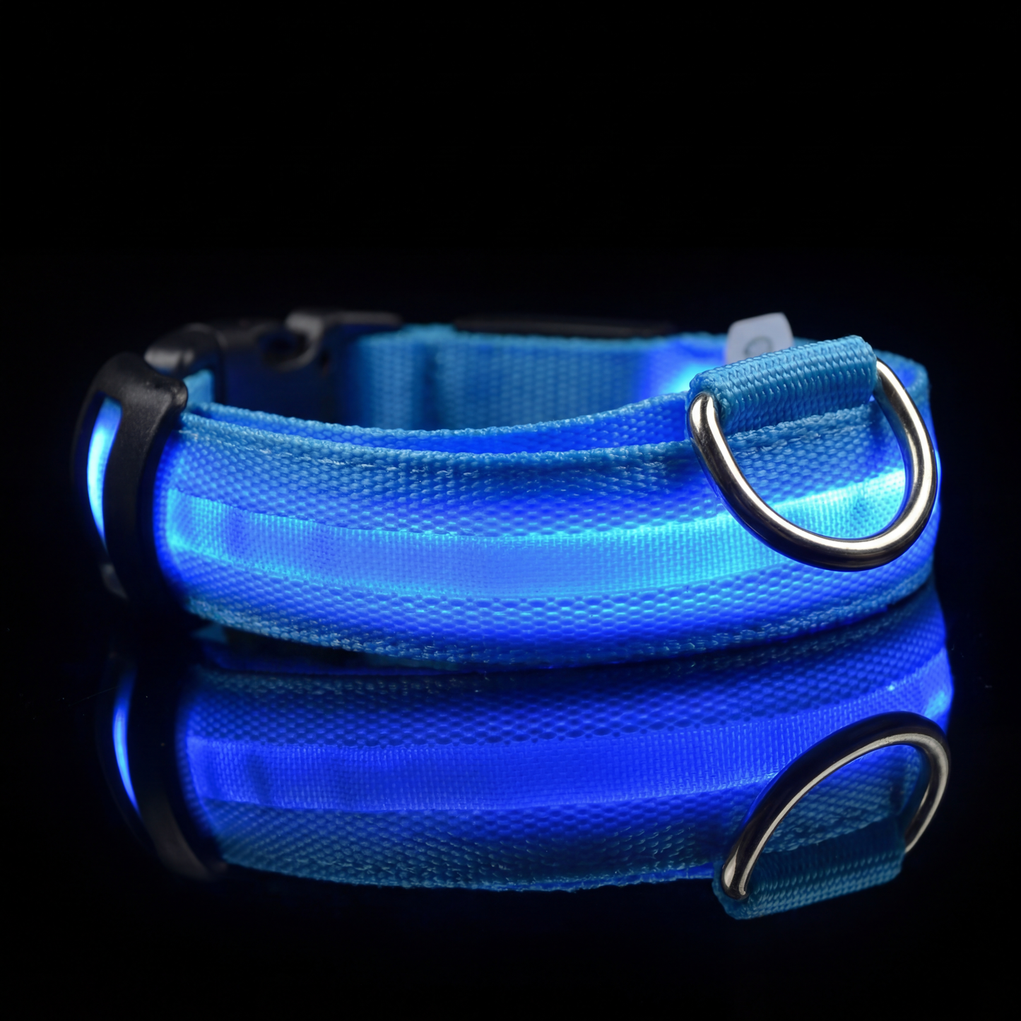 LED Dog Collar Rechargeable