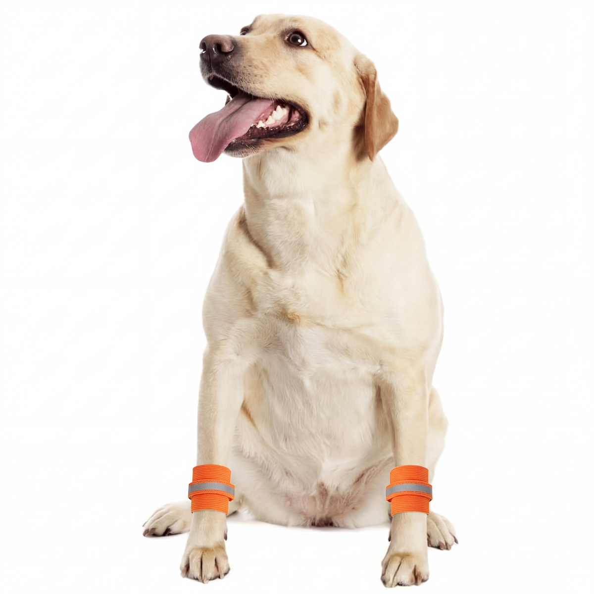 Dog Safety Reflective Wrist Bands