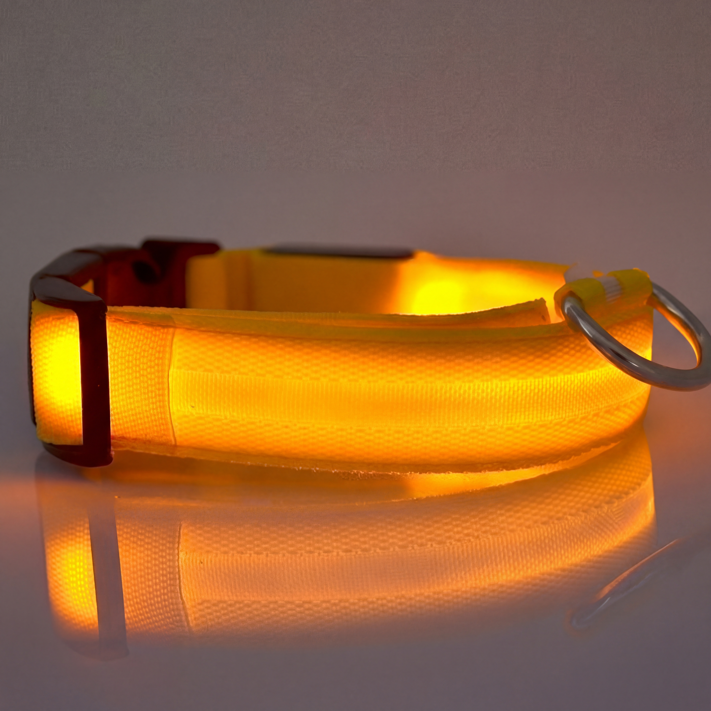 LED Dog Collar Rechargeable