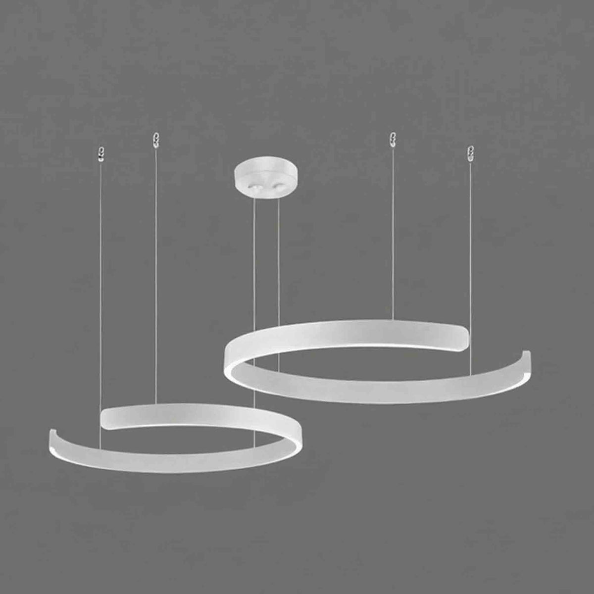 Premium Round Ring Lamp for Living Room