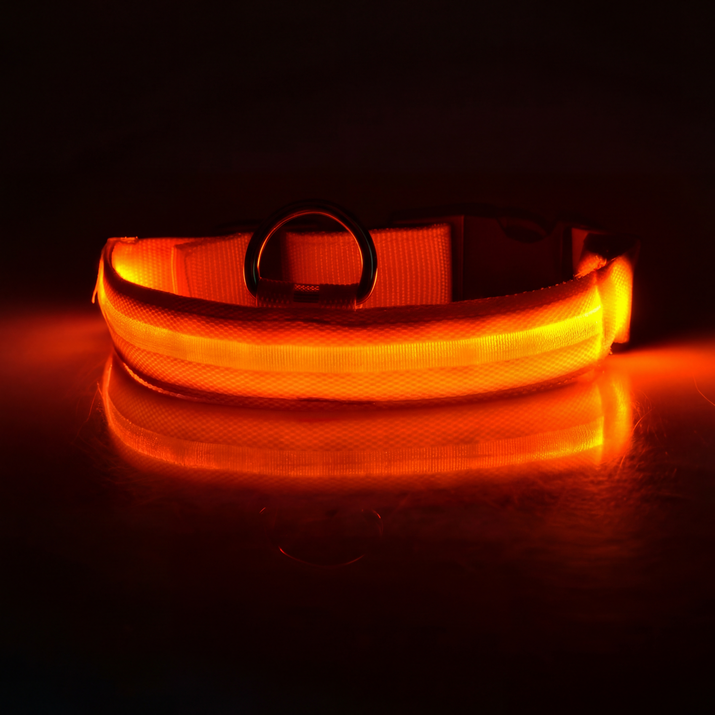 LED Dog Collar Rechargeable