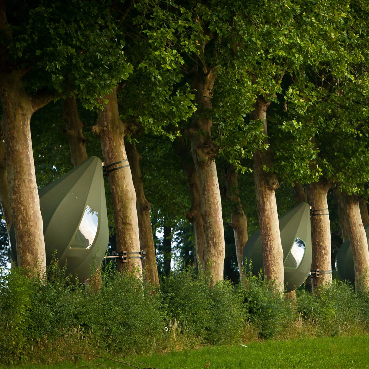 Luxury Geodesic Dome Tent – Transparent Starry Sky for Resort Glamping & Outdoor Vacations