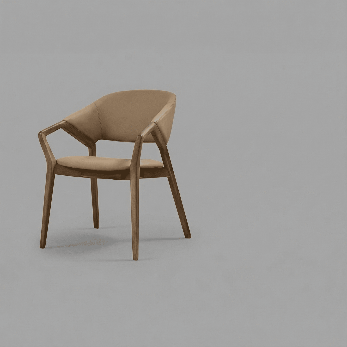 Luxury Nordic Lounge Chair for Entrance & Living Room