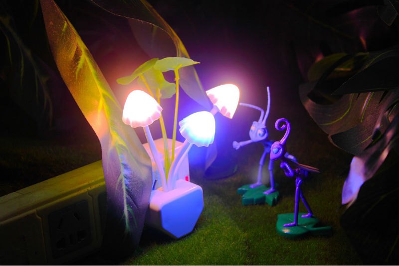 Mushroom Novelty LED Night Lamp