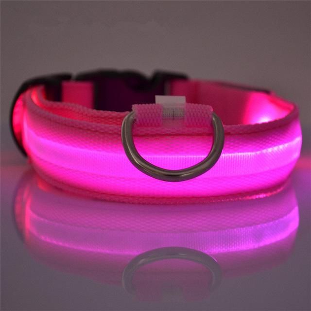 LED Dog Collar Rechargeable - Perfenq