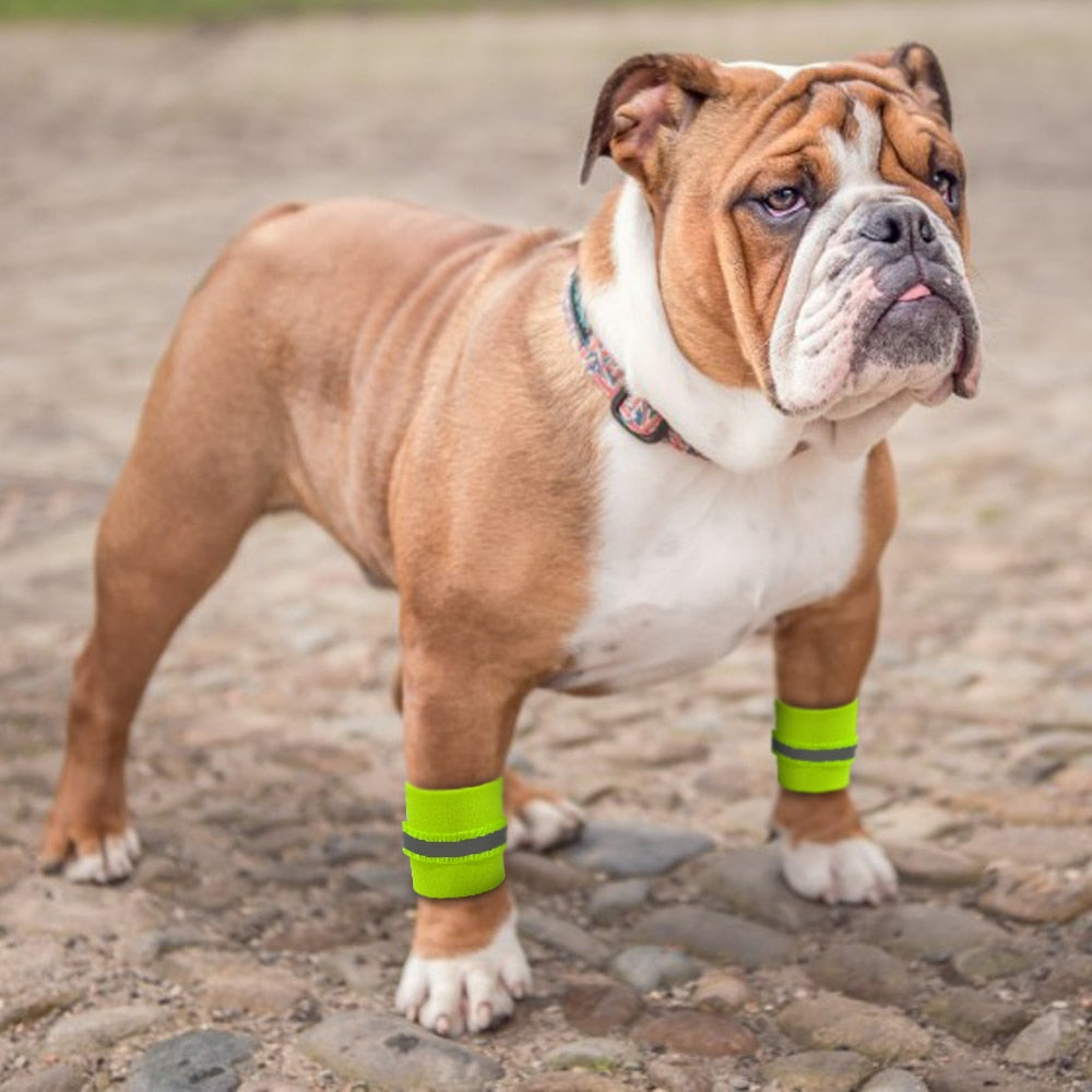 Dog Safety Reflective Wrist Bands - Perfenq