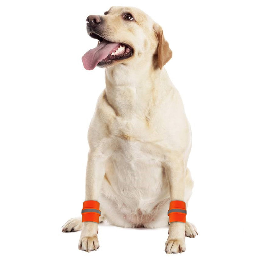 Dog Safety Reflective Wrist Bands - Perfenq